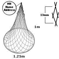 Ring-net-revisi