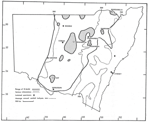 Distribution of galvanised burr in NSW 