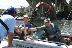 Distributing regulation material on Sydney Harbour