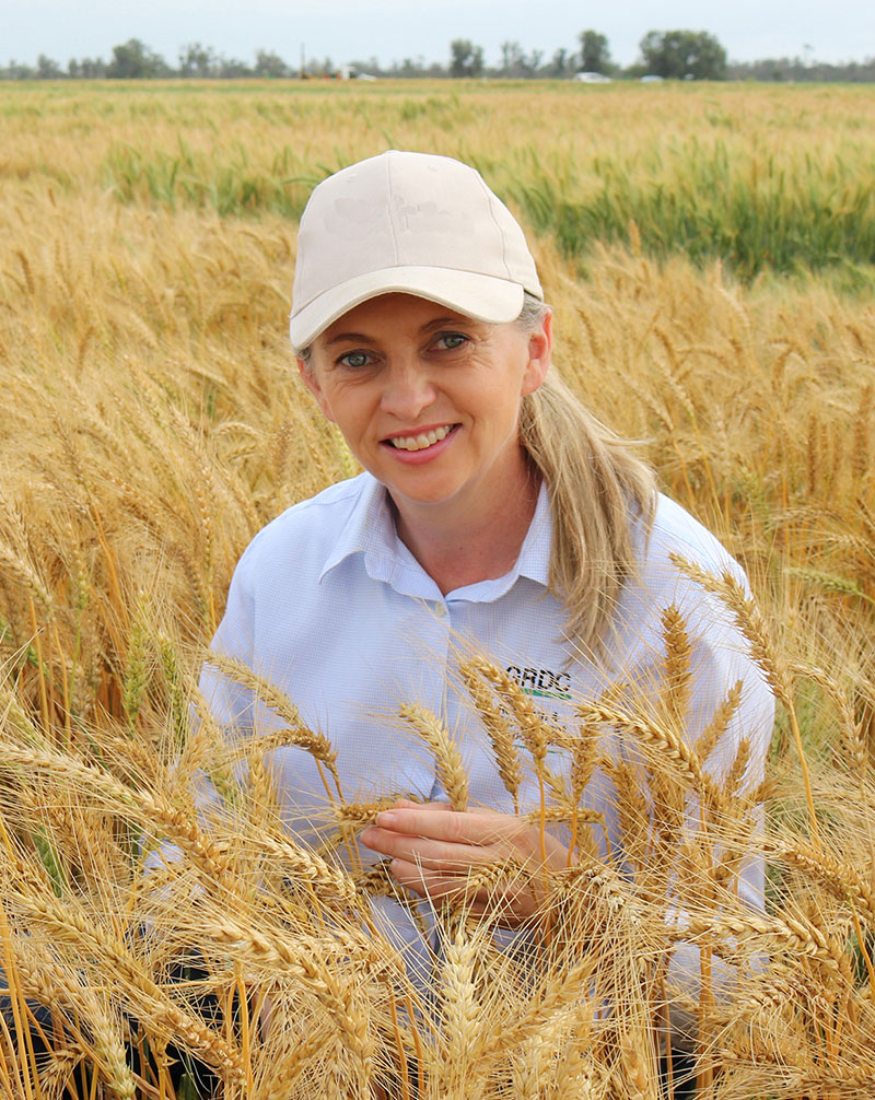 Penny Hueston in a field of wheat
