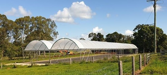 New blueberry research greenhouse tunnels have just been completed at the Wollongbar Primary Industries Institute