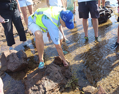 A volunteer shows the audience creatures in a tidal pool