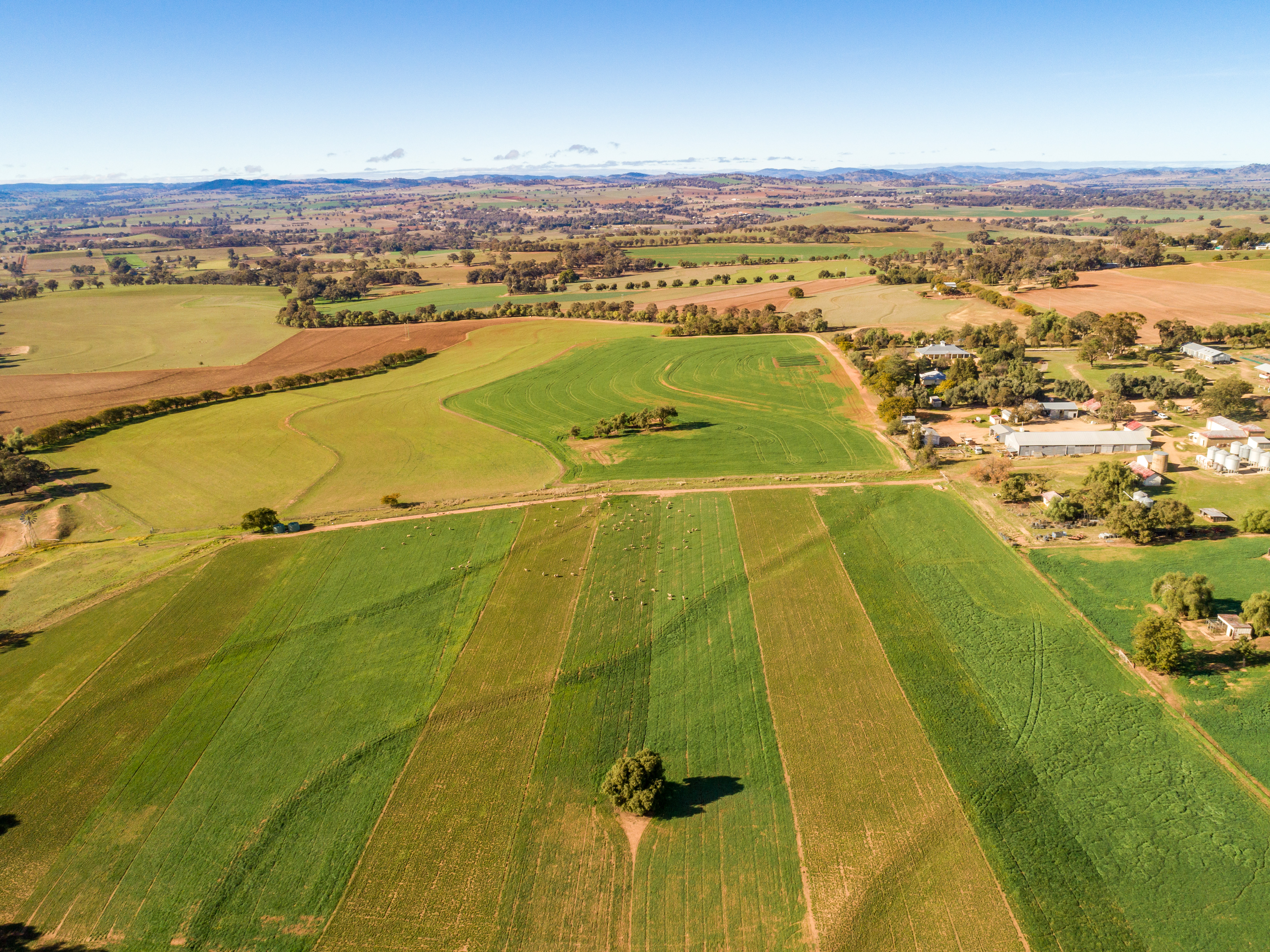 Aerial view of Cowra Agricultural Research and Advisory Station 