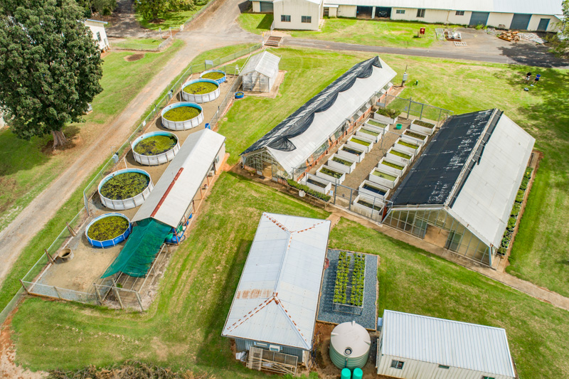 Aerial view of GPII