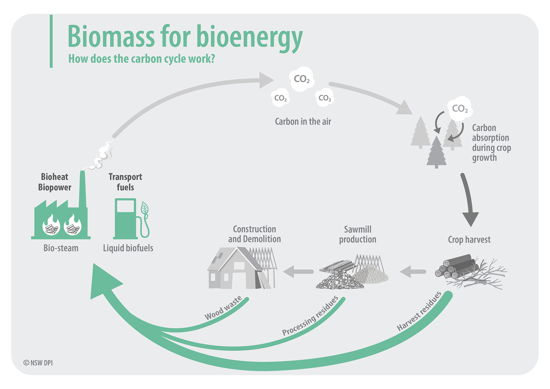Infographic of biomass for bioenergy - How does the carbon cycle work? - forestry example. This document is not fully accessible, please contact fabiano.ximenes@dpi.nsw.gov.au for more information.