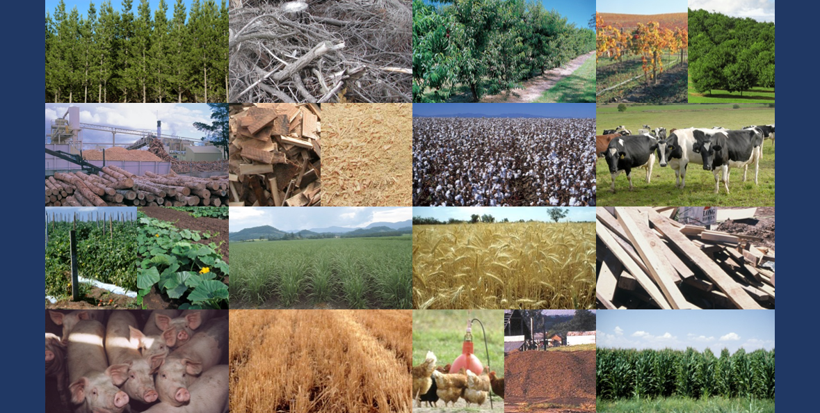 Bioenergy - collage of biomass sources from primary industries
