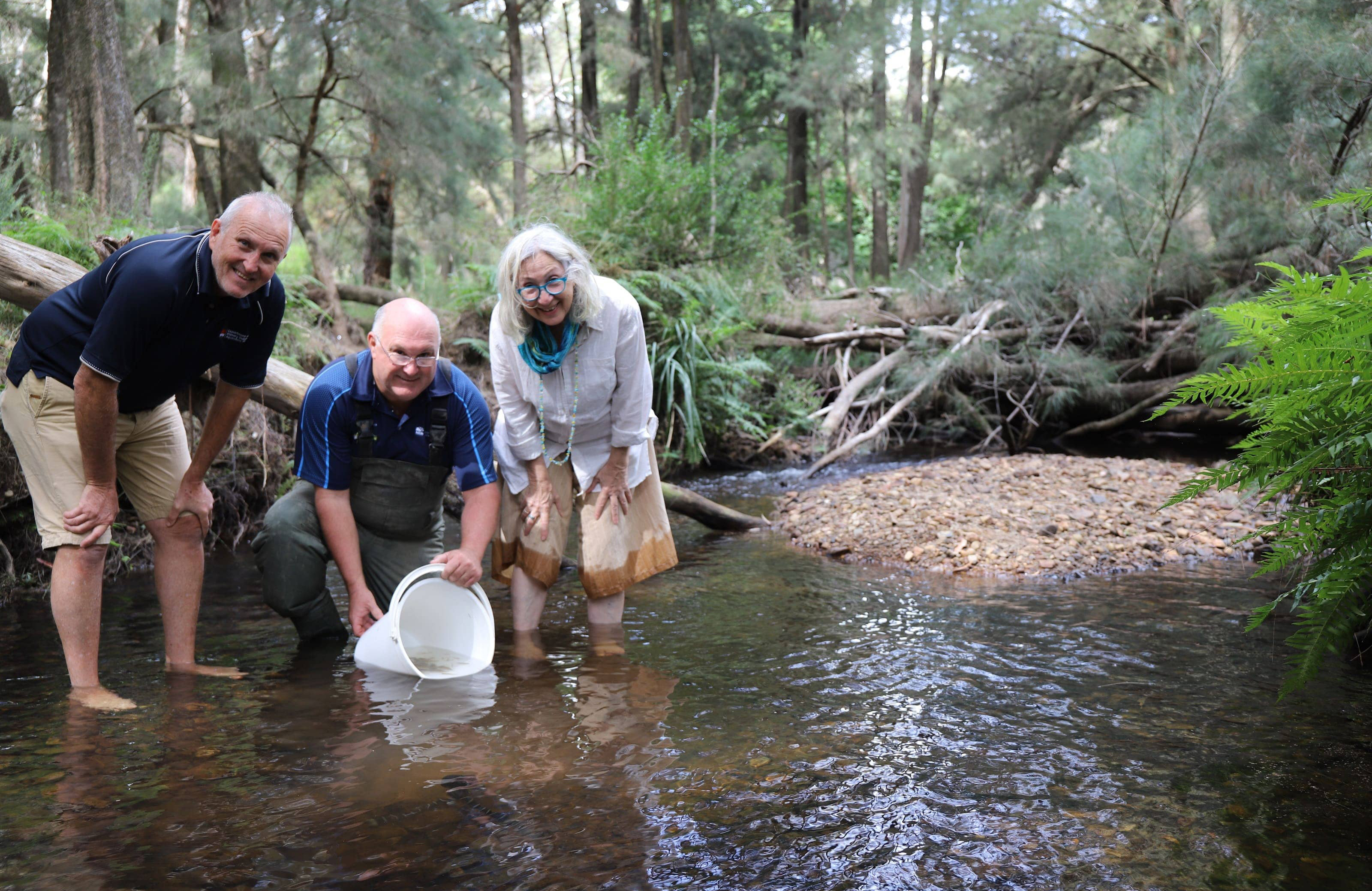 Stewart Fielder, Dean Gilligan and Abagail Elizur releasing Macquarie Perch into the Macquarie River, NSW