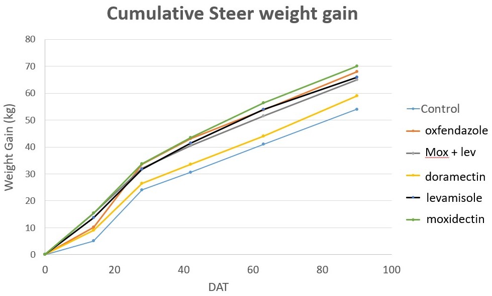 Graph: Cumulative steer weight gains up to 90 days after treatment (DAT) after being treated with different worm control products.
