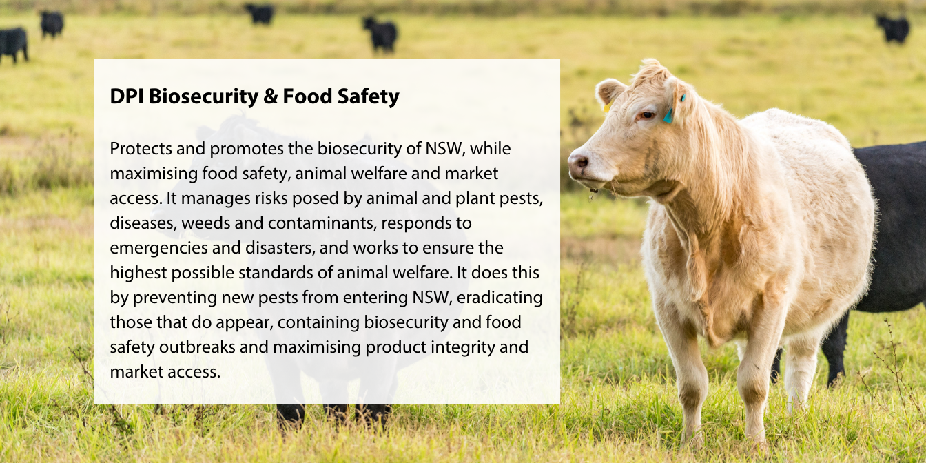 DPI Biosecurity & Food Safety