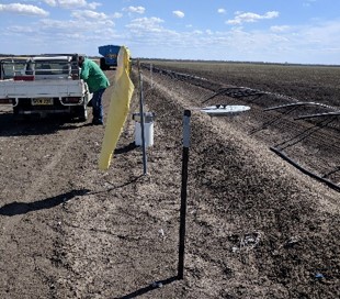 cotton field with yellow wind sock and aerial monitoring equipment