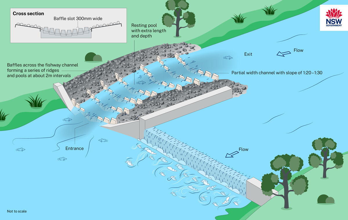 A diagram showing how a partial width rock ramp could be constructed