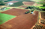 Aerial shot of fields