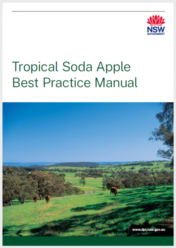 Tropical soda apple front cover