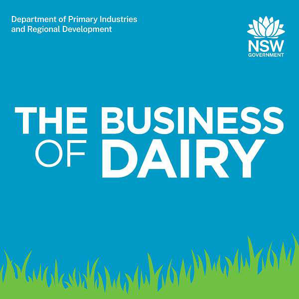 Dairy