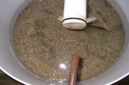 Looking down at spat in an upwelling nursery system.