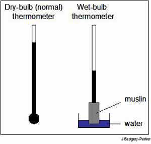 Wet and dry bulb thermometer
