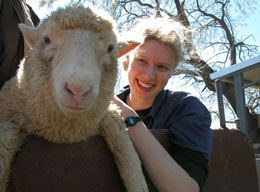 NSW DPI veterinarian, Sarah Robson, says in severe cases arthritis in lambs can affected up to 100 per cent of sheep in a flock.