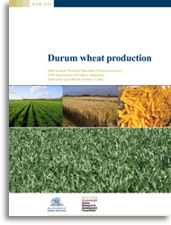 Durum wheat production cover