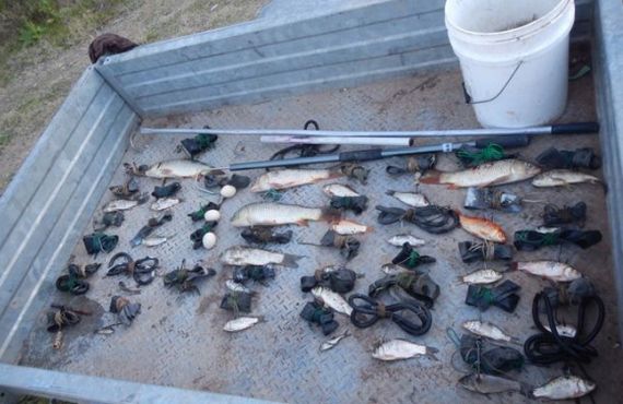 Fish and fishing gear seized from the Macquarie River