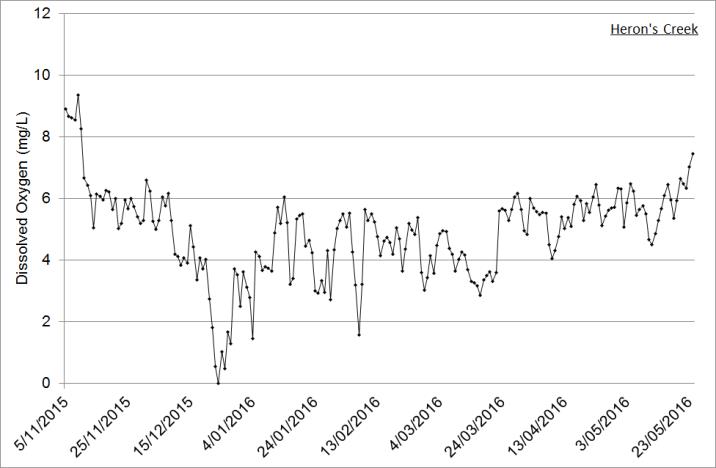 Figure 6. Dissolved oxygen logger data from Heron’s Creek, a tributary to Queens Lake in the Camden Haven estuary (6 month time-series from project commencement shown). Several low-DO events are obvious, the most severe being the persistent flow of anoxic