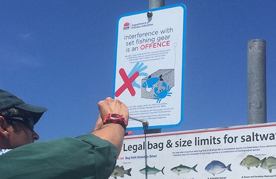 Fisheries Officer erecting a crab trapping sign on a metal pole