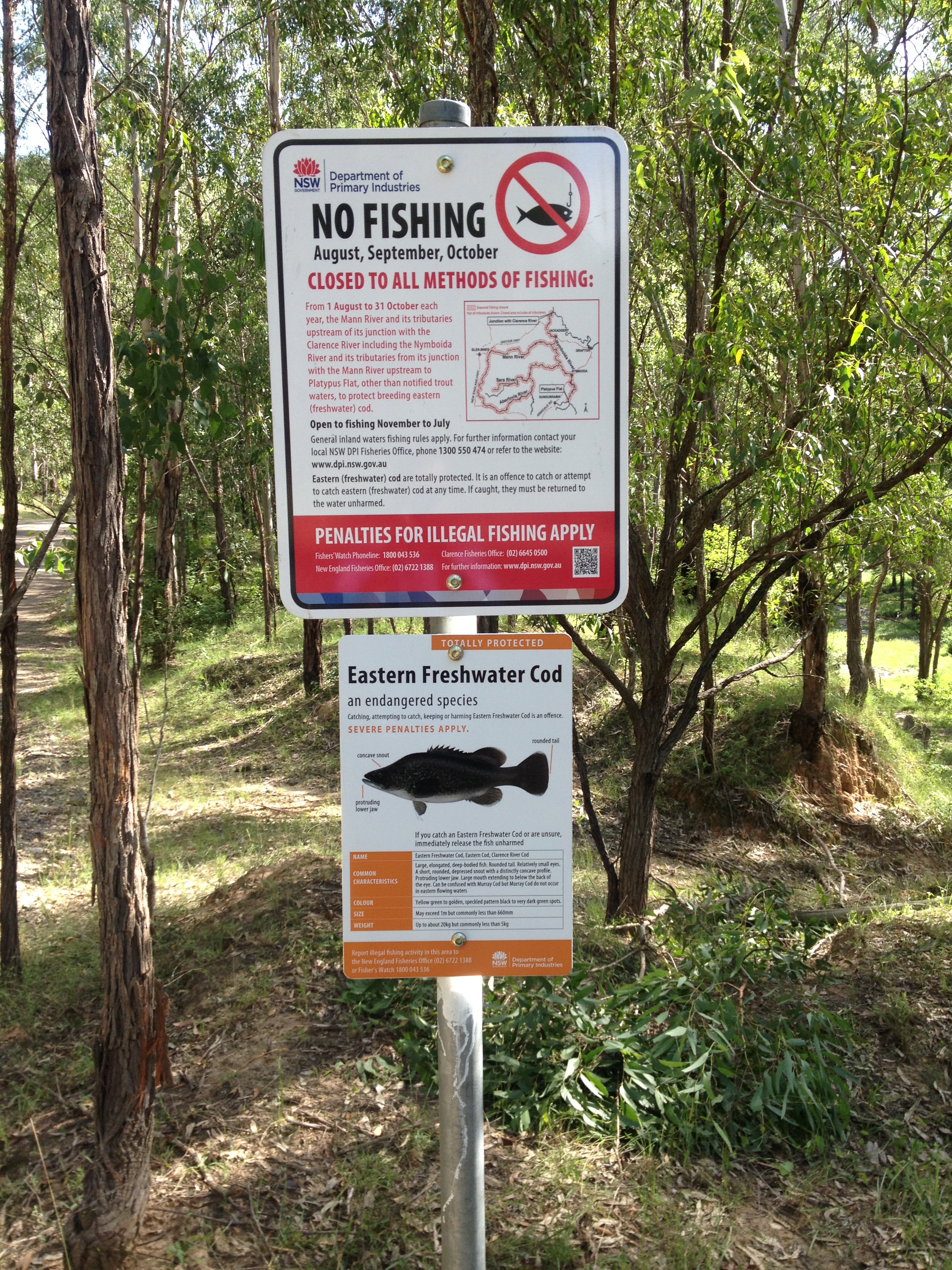 fishing closure signage along Mann River