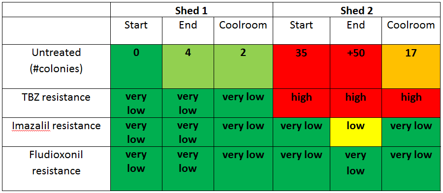 Results of Decay colonies 