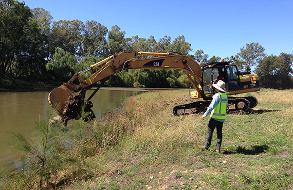 Snag being installed into the Macquarie River