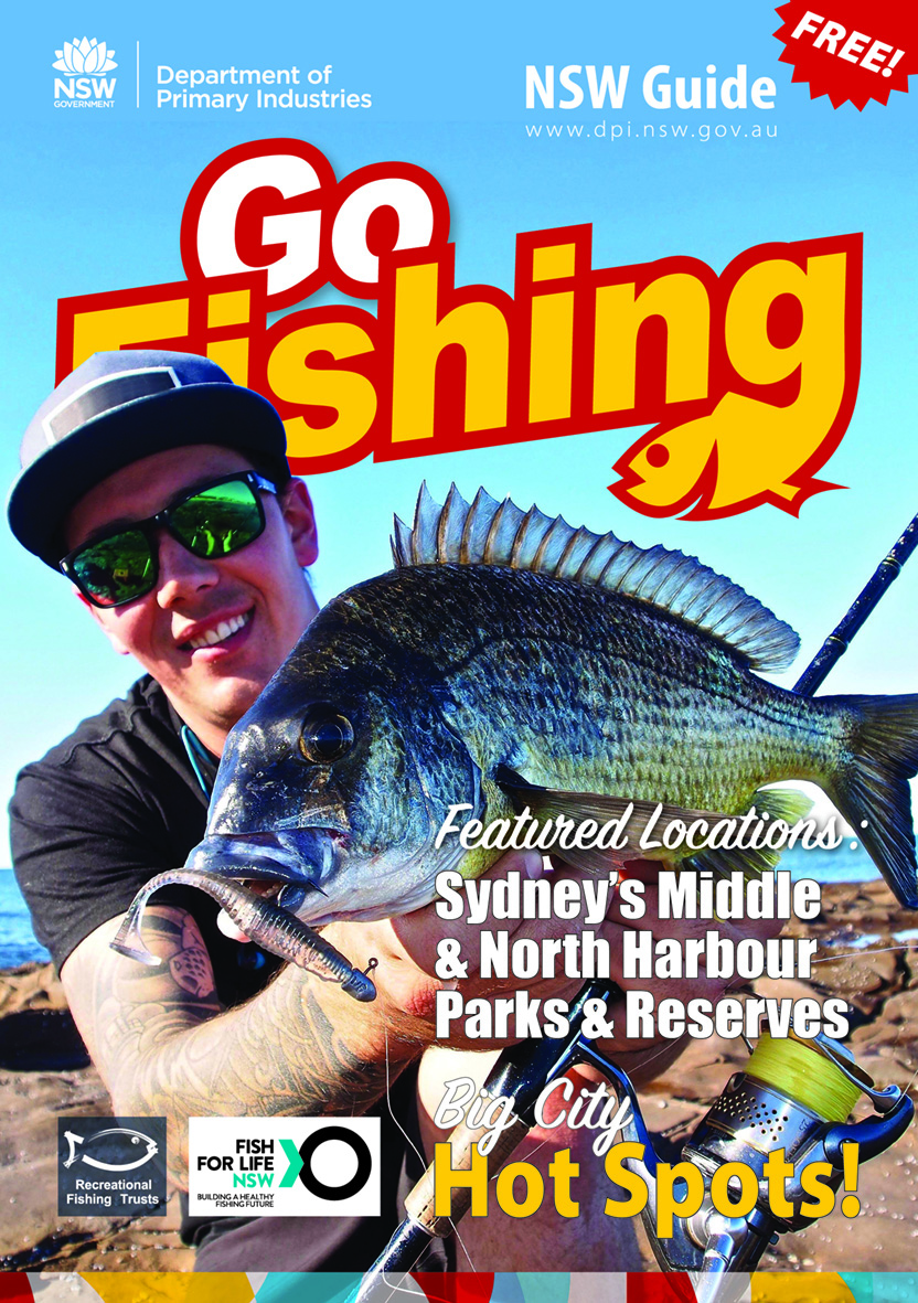 Cover image for Go Fishing guide book