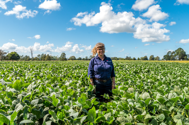 Cropping research