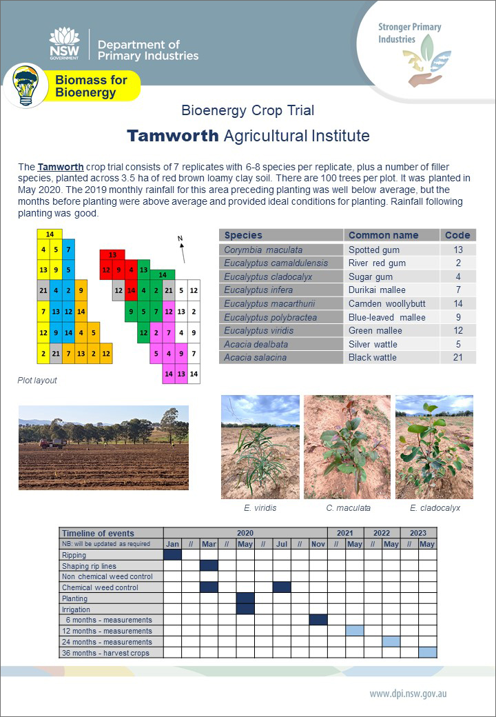 Tamworth Crop Trial Factsheet