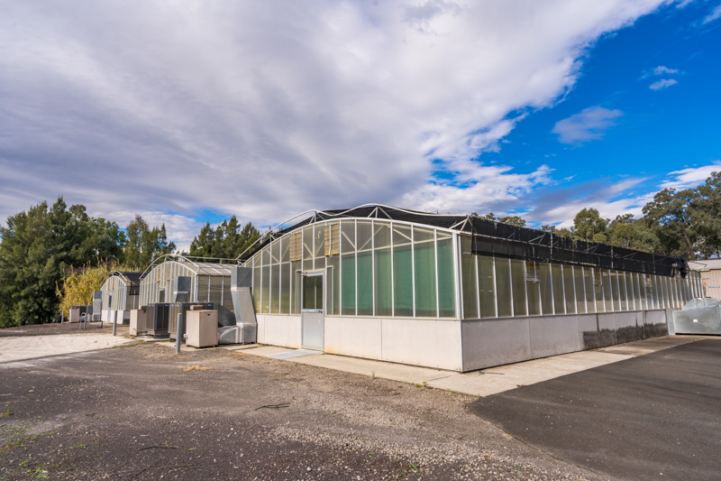 Greenhouses