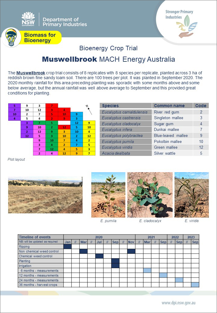 Muswellbrook Crop Trial Factsheet