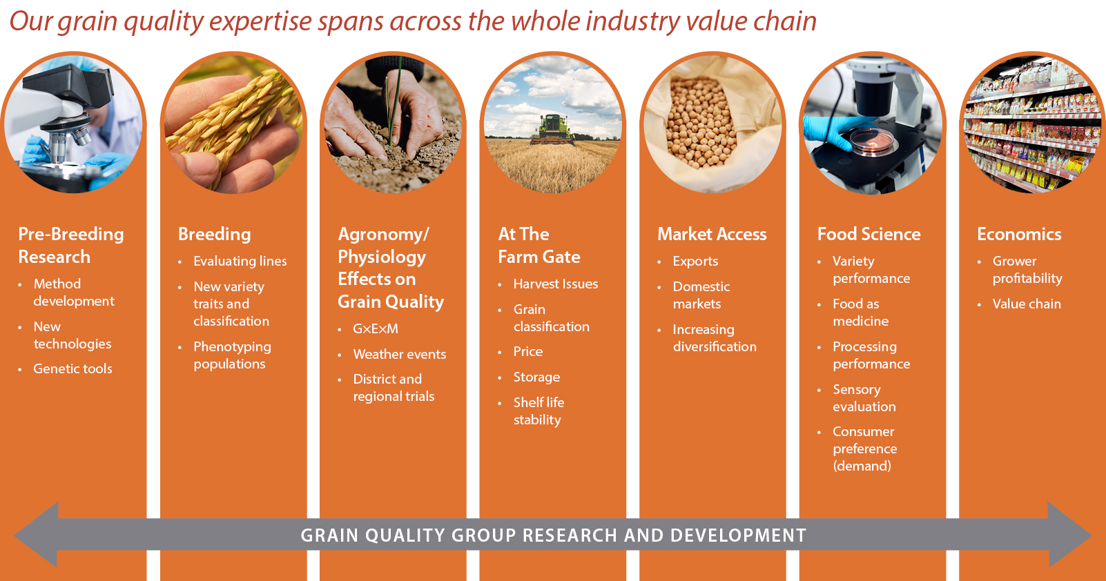 NSW DPI grain quality expertise spans across the whole industry value chain encompassing: Pre-breeding research (method development, new technologies and genetic tools); Breeding (evaluating lines, new variety traits and classification, and phenotyping genetic populations); Agronomy/physiology effects on grain quality (GxExM, weather events and district/regional trials); At the farm gate research (harvest issues, grain classification, price, storage and shelf-life stability); Market access (exports, domestic markets and increasing diversification); Food science (variety performance, food as medicine, processing performance, sensory evaluation and consumer preferences/demand), and Economics (grower profitability and value chain). We have expertise in wheat, grain legumes (like chickpeas, faba bean, mungbean, etc), rice, durum, oilseeds (like canola) and feed grains.