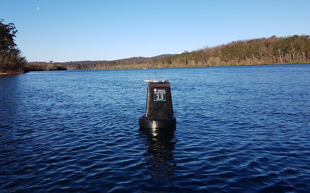 NSW DPI sensor buoy on the Clyde River near Batemans Bay. Photo: Matthew Pierce