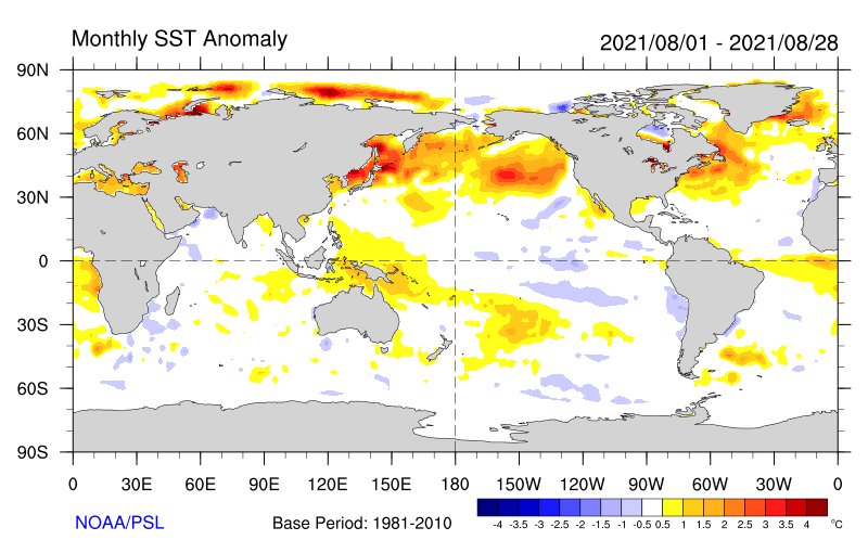 Monthly sea surface temperature anomalies (Source: NOAA)