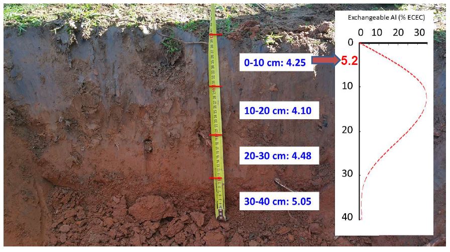 soil profle with graph of EXCHangeable Al alongside