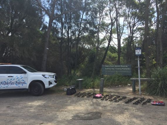 Fisheries patrol vehicle and cockles seized from Botany Bay