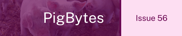 PigBytes Banner