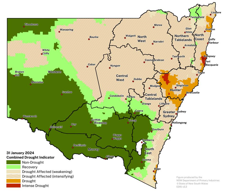 Figure 1. Verified NSW Combined Drought Indicator to 31 January 2024