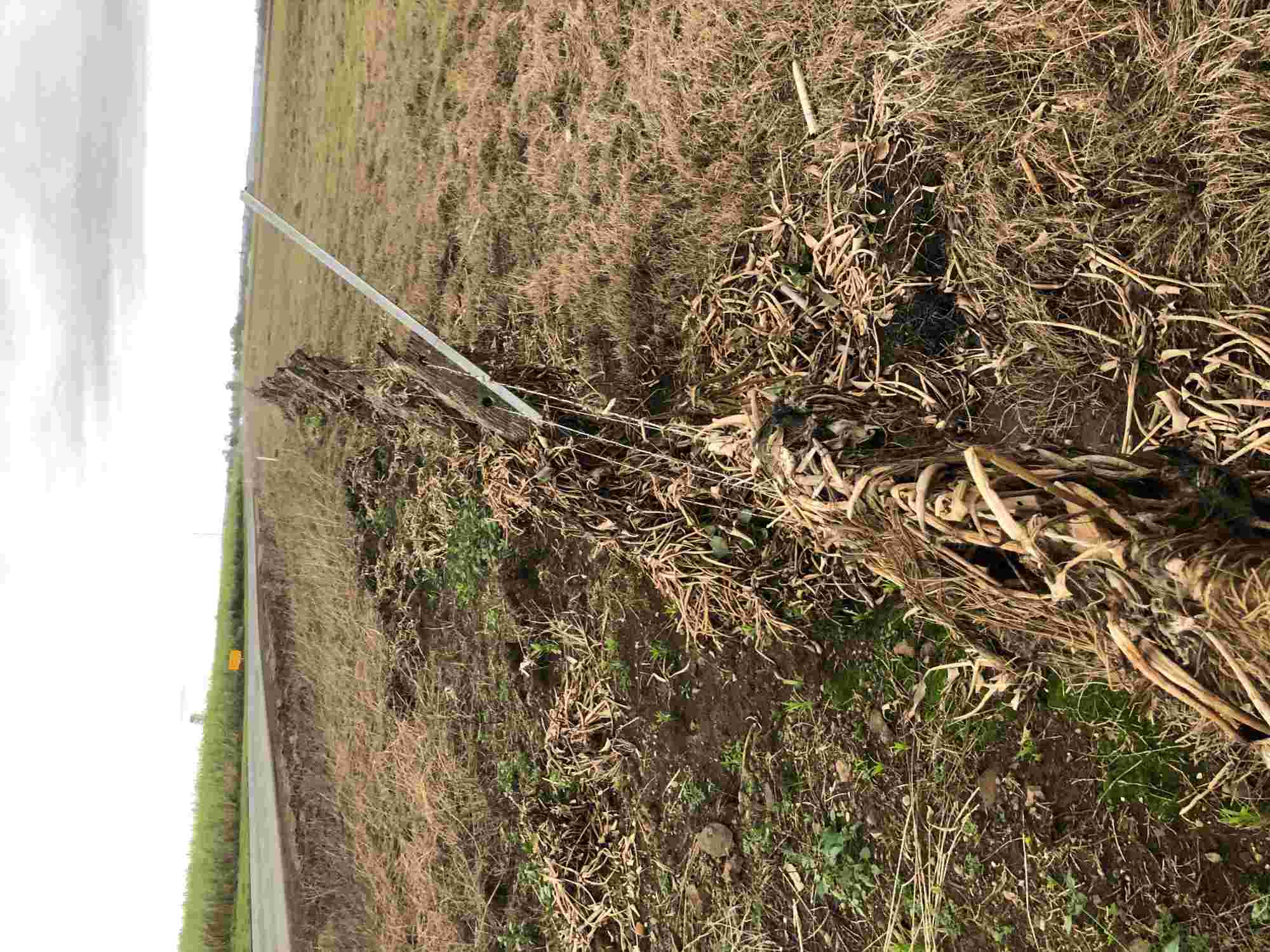 Fences destroyed