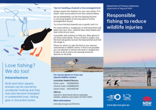 Responsible fishing to reduce wildlife injury