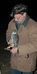 Forestry Corporation principal research scientist Dr Rod Kavanagh with a captured barking owl