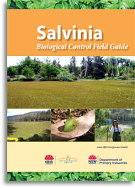 Salvinia biological control field guide