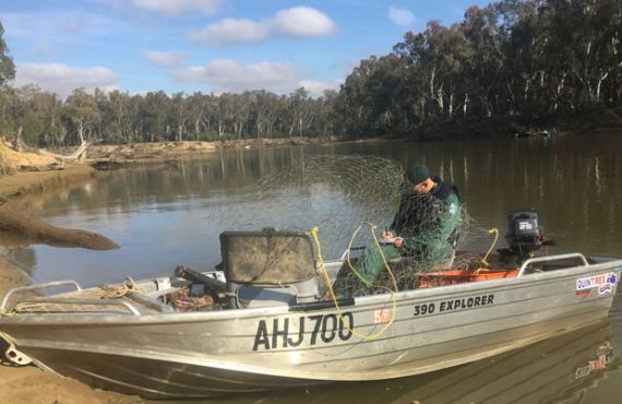 Fish trap seized from Murray River