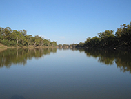 The mighty Murray River