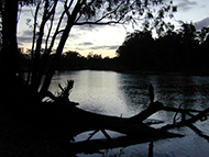 Snags in the Murrumbidgee were removed for navigation