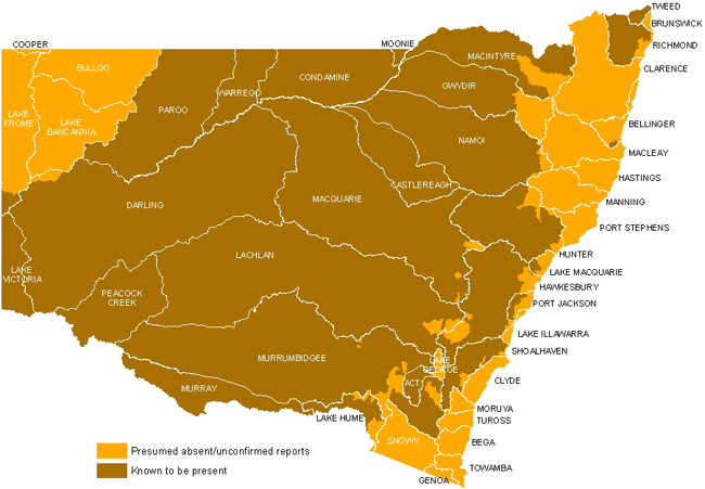 Distribution of carp in NSW by catchment