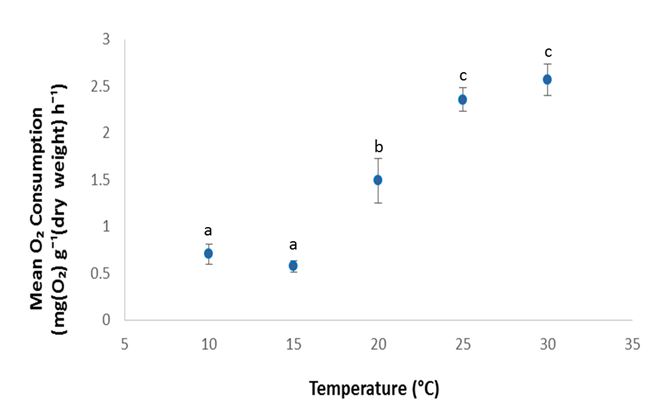 Mean rate of oxygen consumption (N= 6, ± S.E.) of juvenile prawns held in six different water temperatures