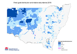 Feral goat occurences 2016